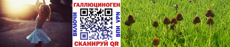 Псилоцибиновые грибы Cubensis  это формула  Нововоронеж 